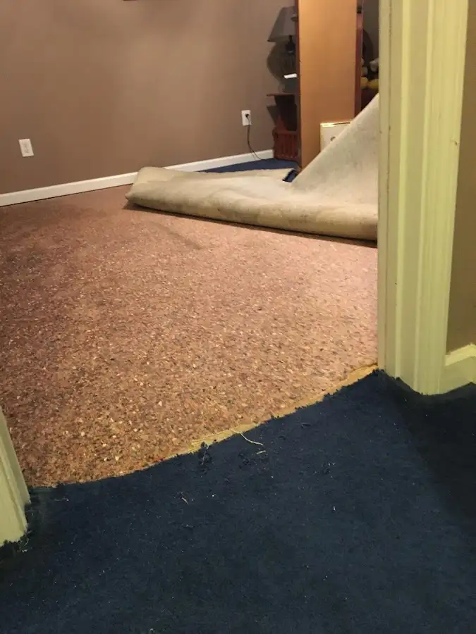 Carpet pad removal revealing water damage during Drying & Dehumidification in East Lansing