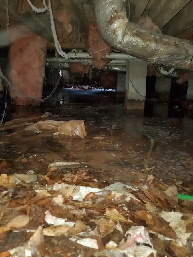 Crawl space flood assessment for Commercial Water Damage Restoration in East Lansing