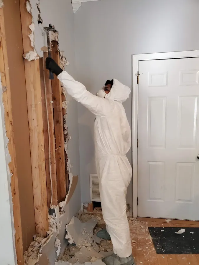 Mold Remediation & Removal in East Lansing, MI